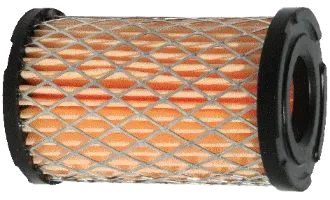 Picture of Forester Air Filter Replaces TECUMSEH® OEM 35066