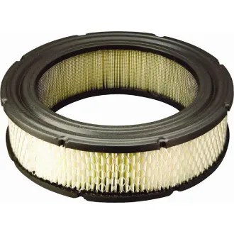 Picture of Forester  Air Filter Replaces Briggs  OEM 692519 694232