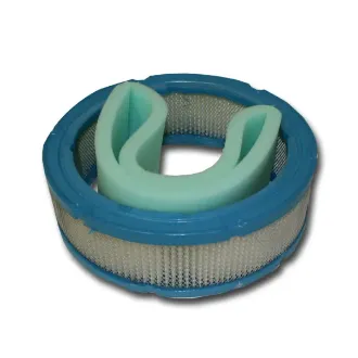 Picture of Forester Air Filter Replaces Briggs Stratton  394018S