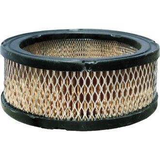 Picture of Forester  Air Filter Replaces  Briggs  392642