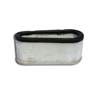 Picture of Forester  Air Filter Replaces Briggs 493909