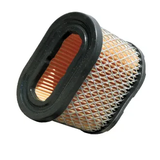 Picture of Forester Air Filter Replaces 498596