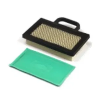 Picture of Forester Air Filter Replaces Briggs  698754  273638S