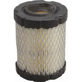 Picture of Forester Air Filter For Briggs 796032