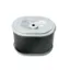 Picture of Air Filter Replaces Honda 17210-ZE1-517