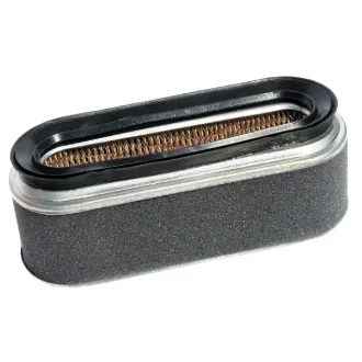 Picture of Forester  Air Filter For Honda  17211-ZE7-W03