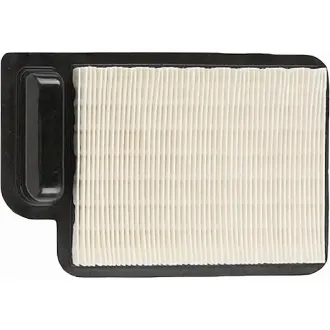 Picture of Forester  Air Filter  For  Kohler  20-083-06S