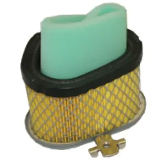 Picture of Forester  Air Filter  For Kohler 12-883-05S